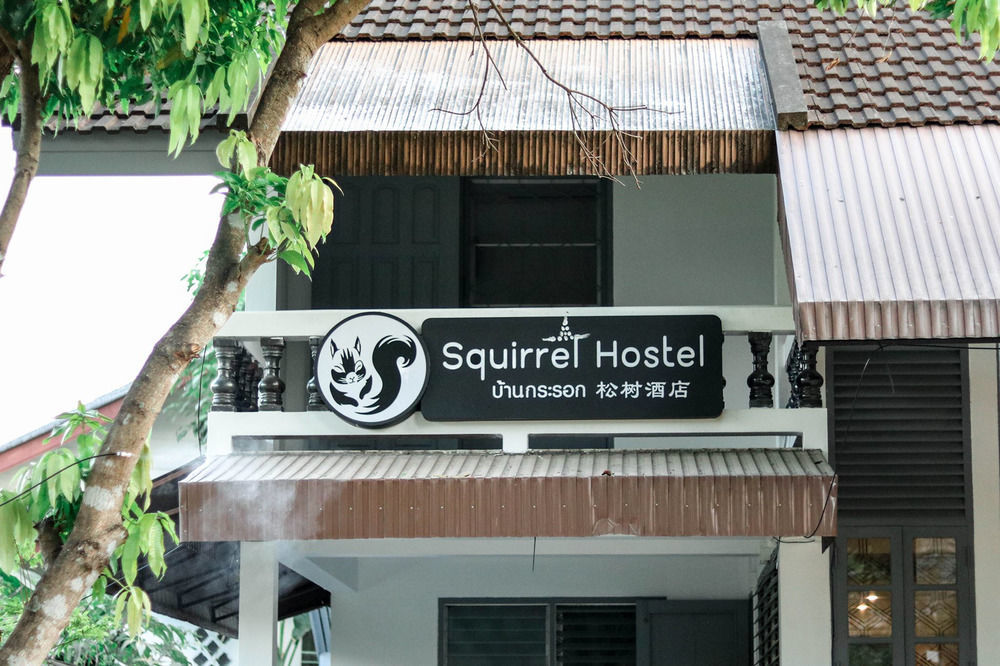 Squirrel Hostel شيانغ ماي المظهر الخارجي الصورة